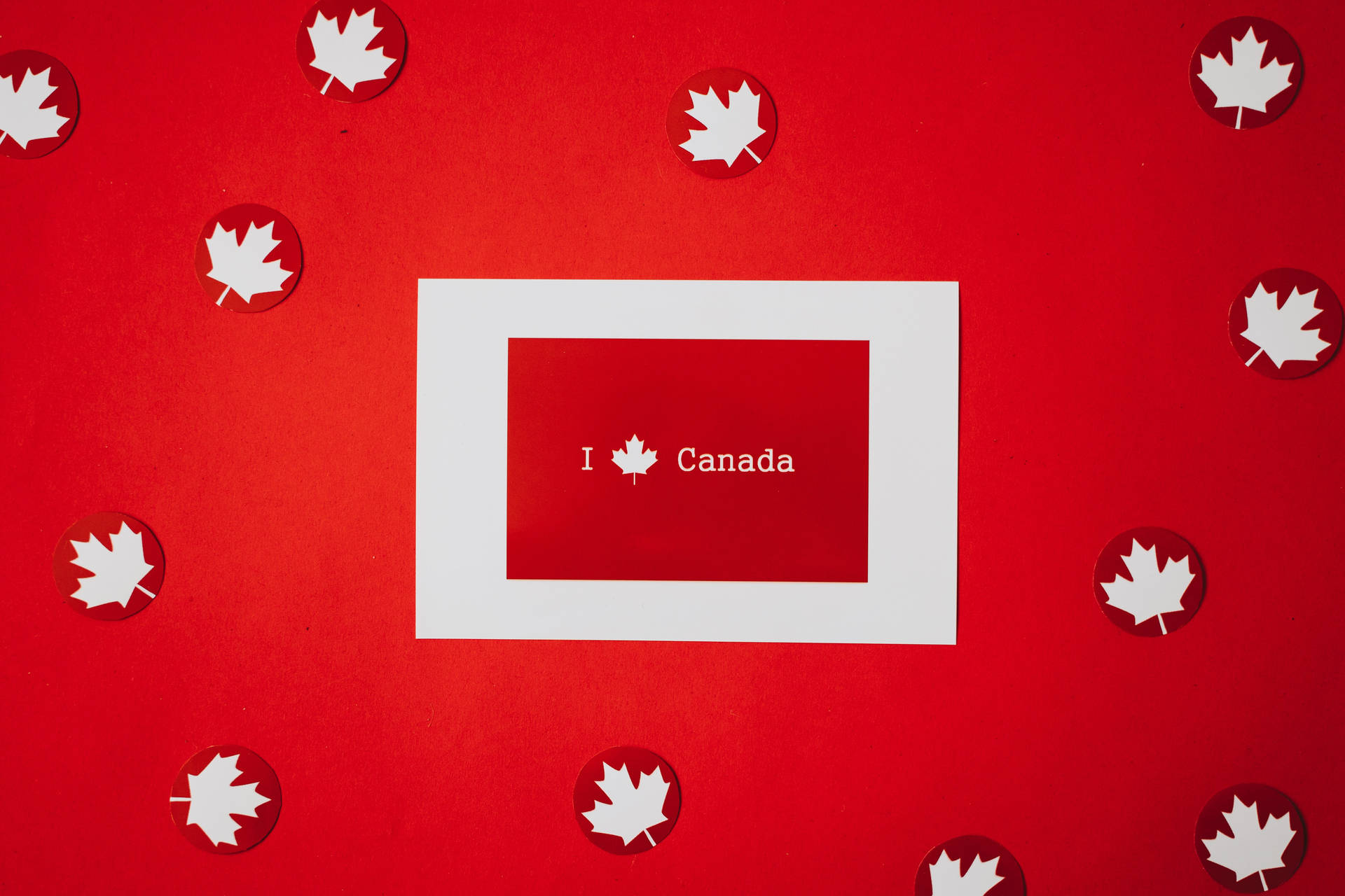Canadian Maple Leaves Love Wallpaper