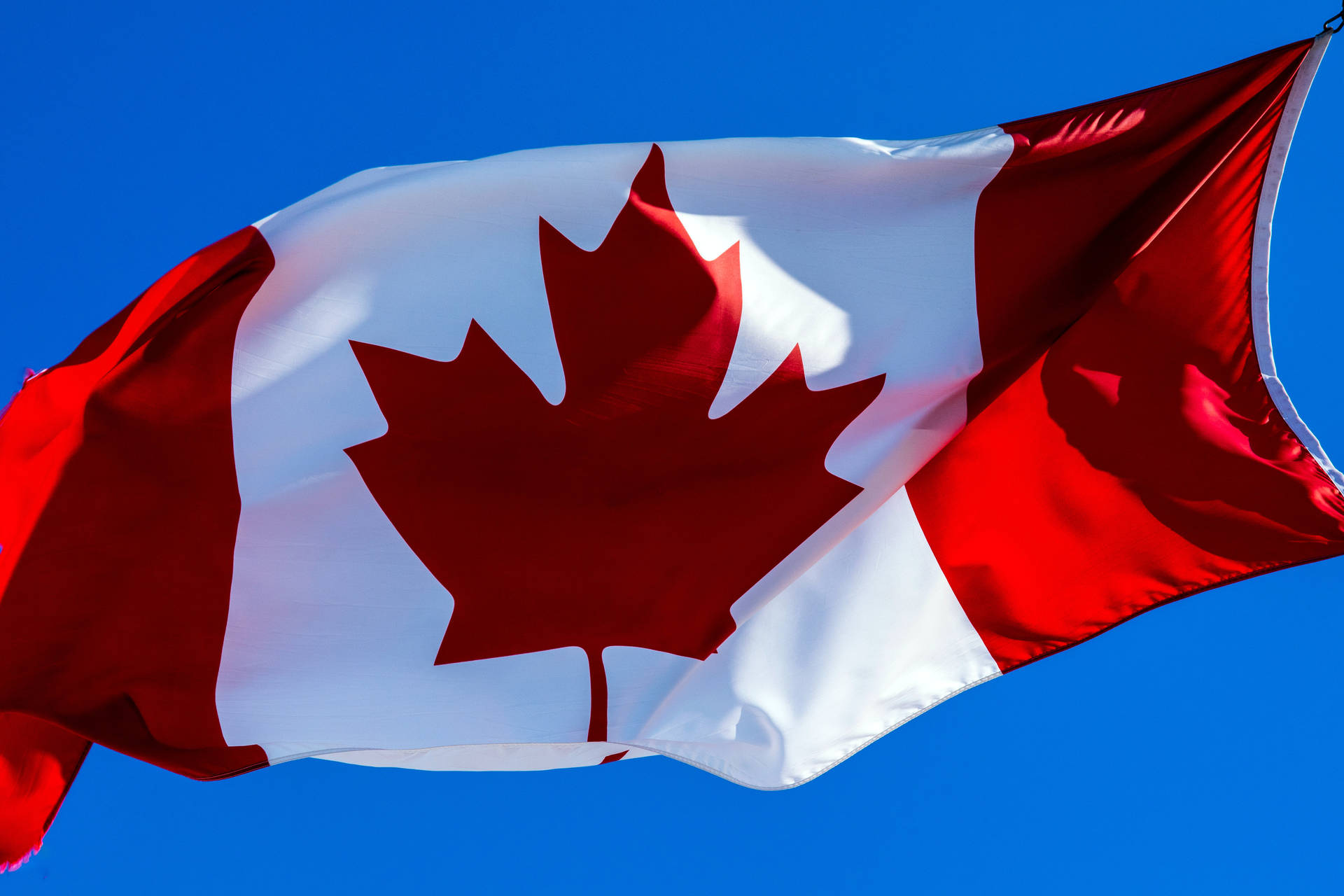 Canadian Zoomed In Flag Picture