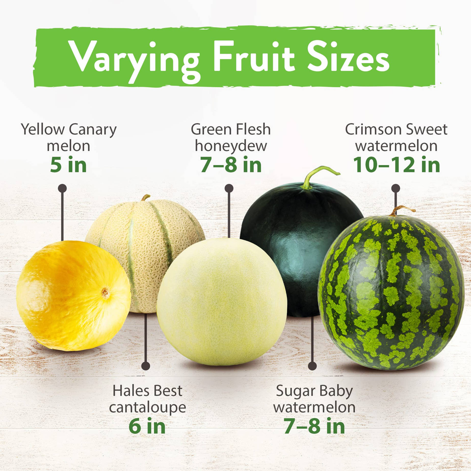 Canary Melon In Fruit Sizes Wallpaper