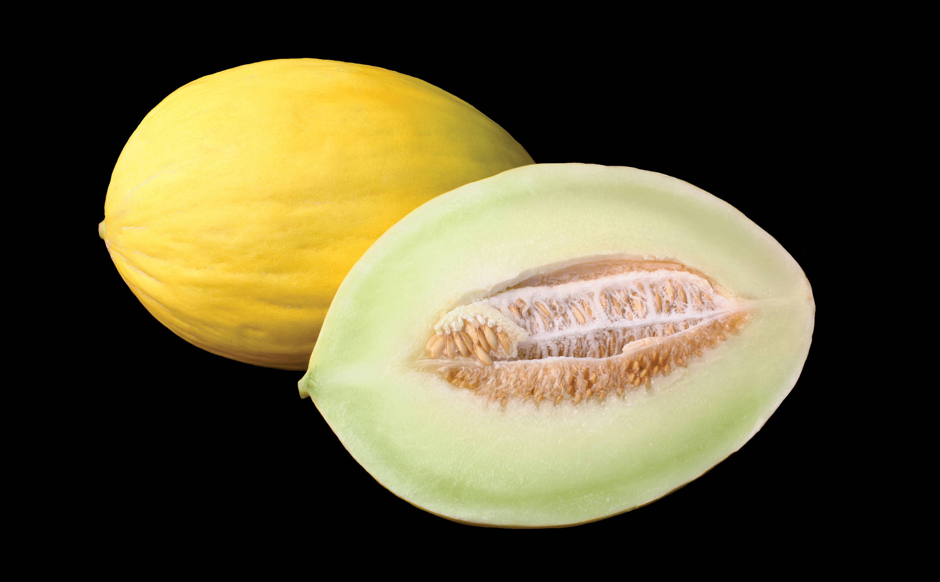 Canary Melon In Graphic Background