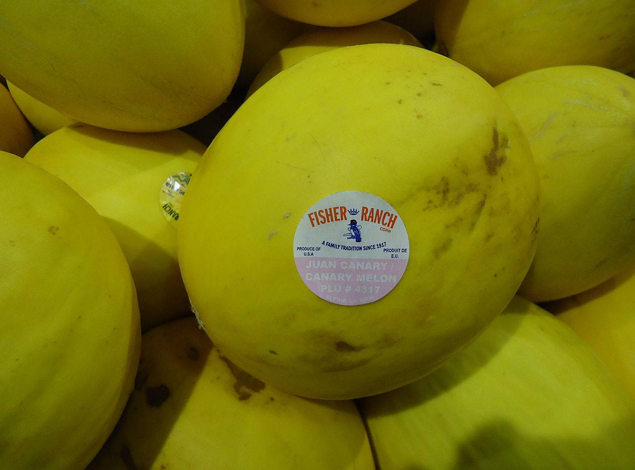 Canary Melon With A Tag Background