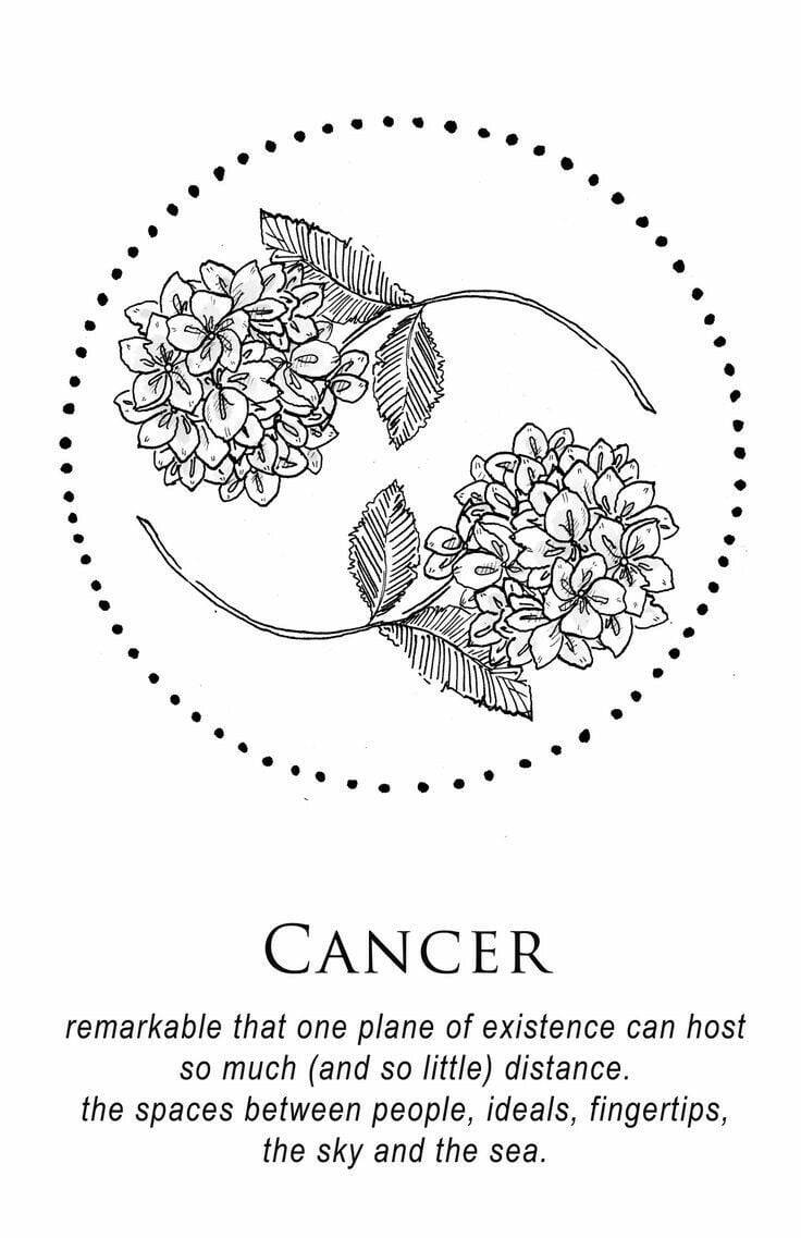 Cancer Aesthetic Floral Symbol Art Wallpaper