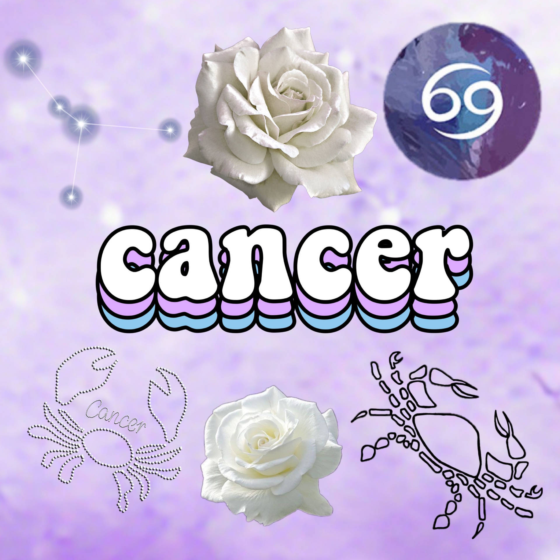 Cancer Zodiac Aesthetic White Rose Wallpaper