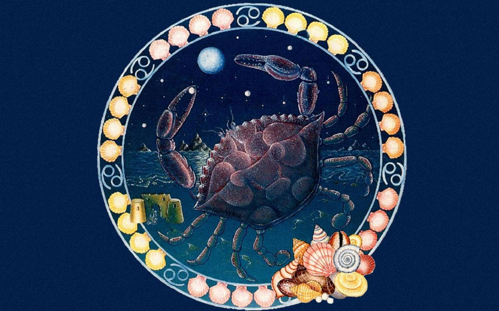 Cancer Zodiac Crab And Shells Wallpaper
