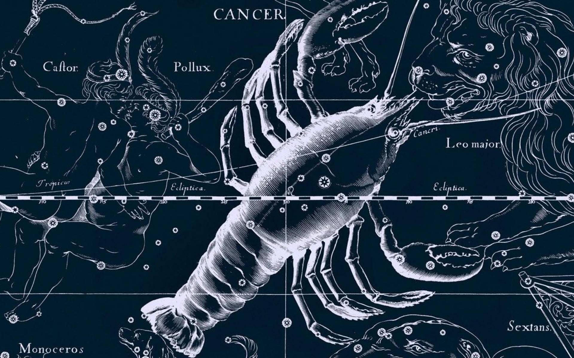 Cancer Zodiac Lobster And Constellations Wallpaper