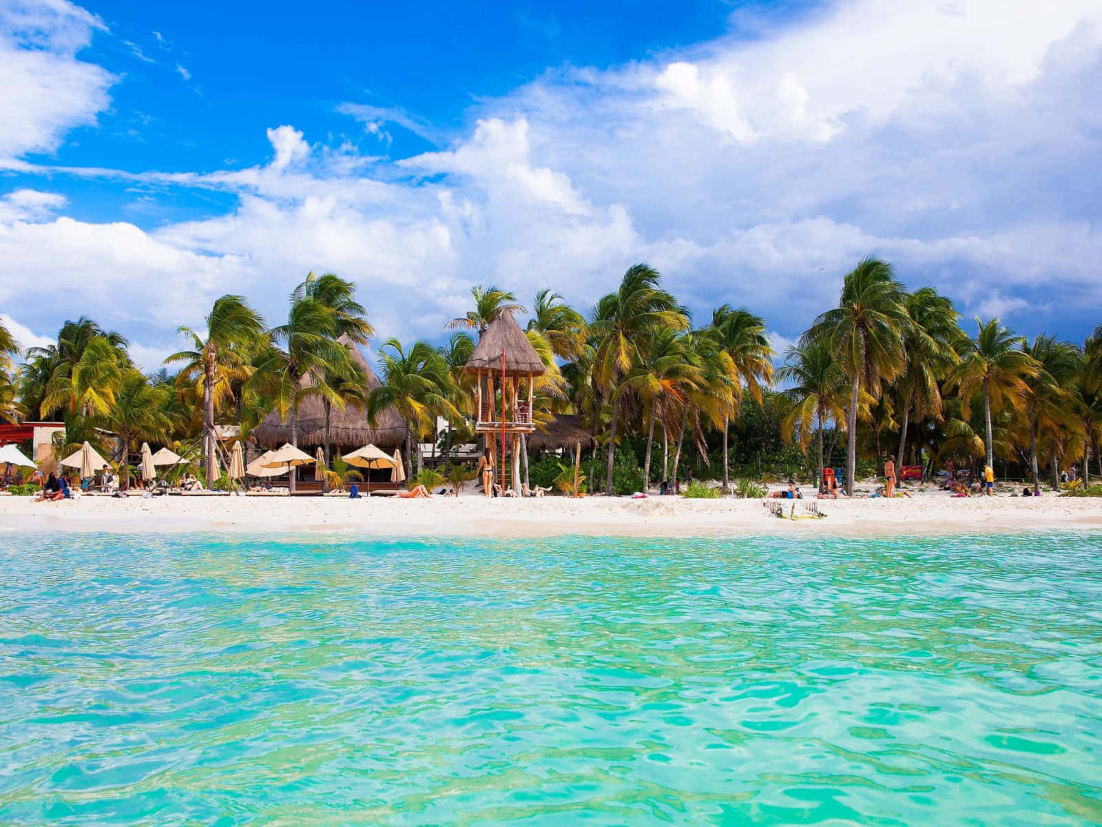 Spiaggiadi Cancún, Messico Con Alberi Sfondo