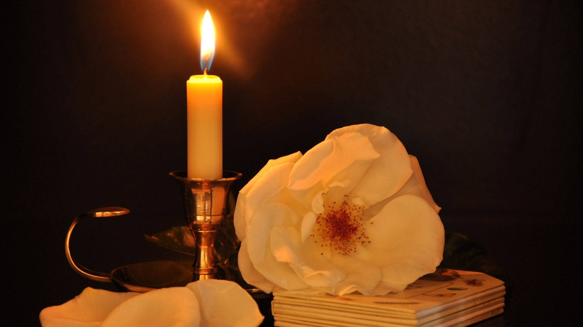 Candle Beside The White Flower Wallpaper