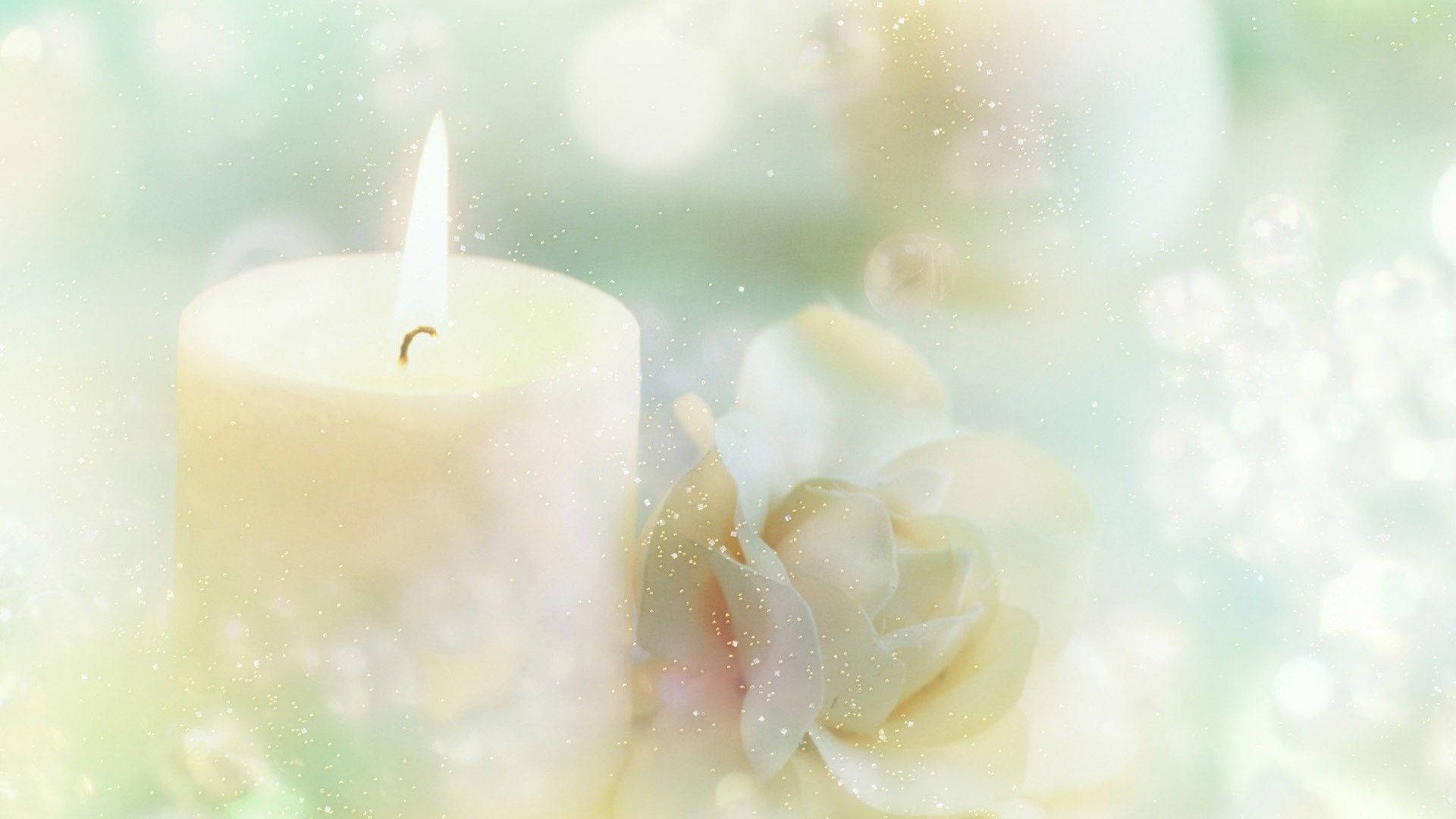 Candle With Pure White Flower Wallpaper