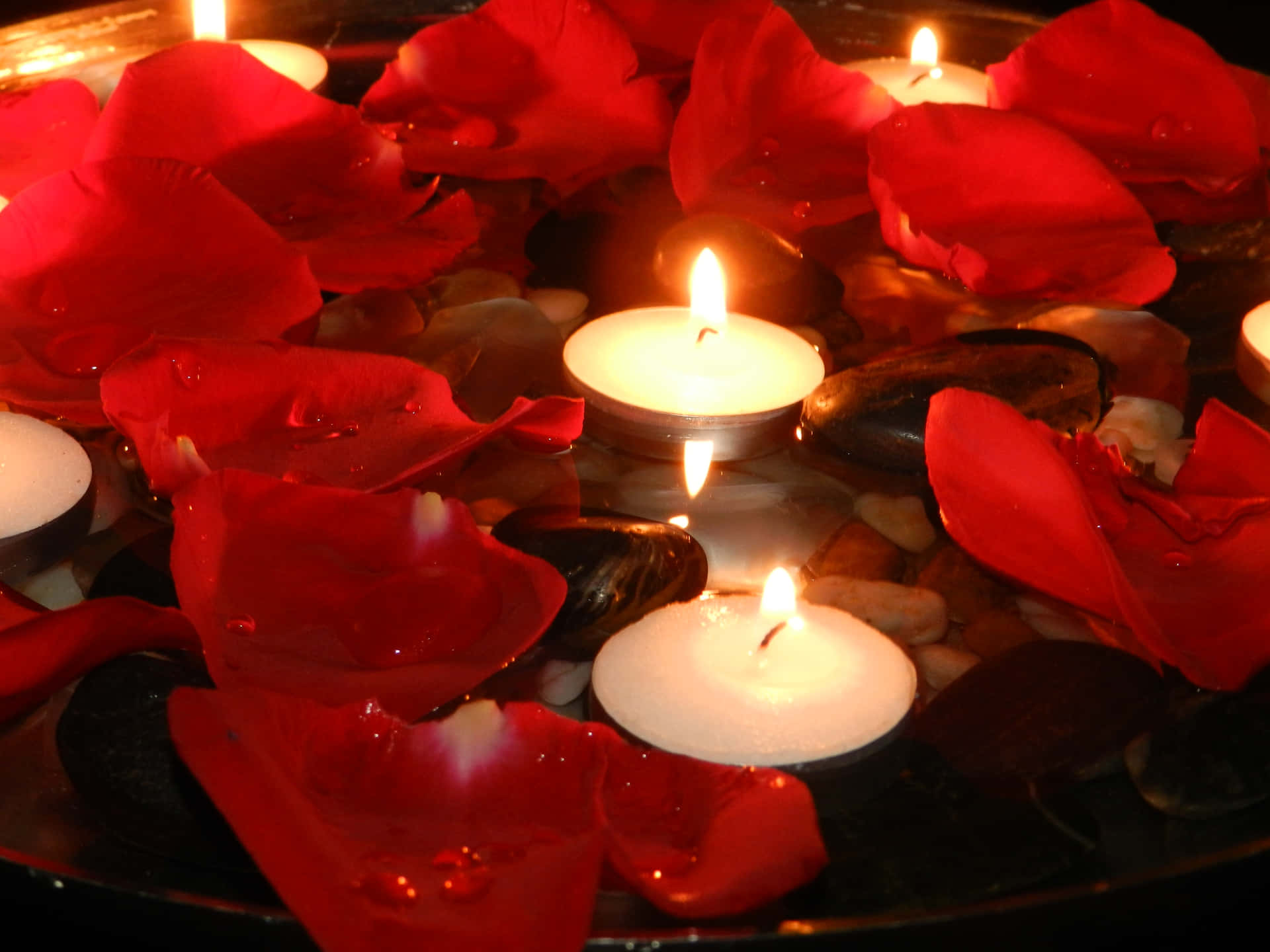 Candlelit Rose Petals Wallpaper