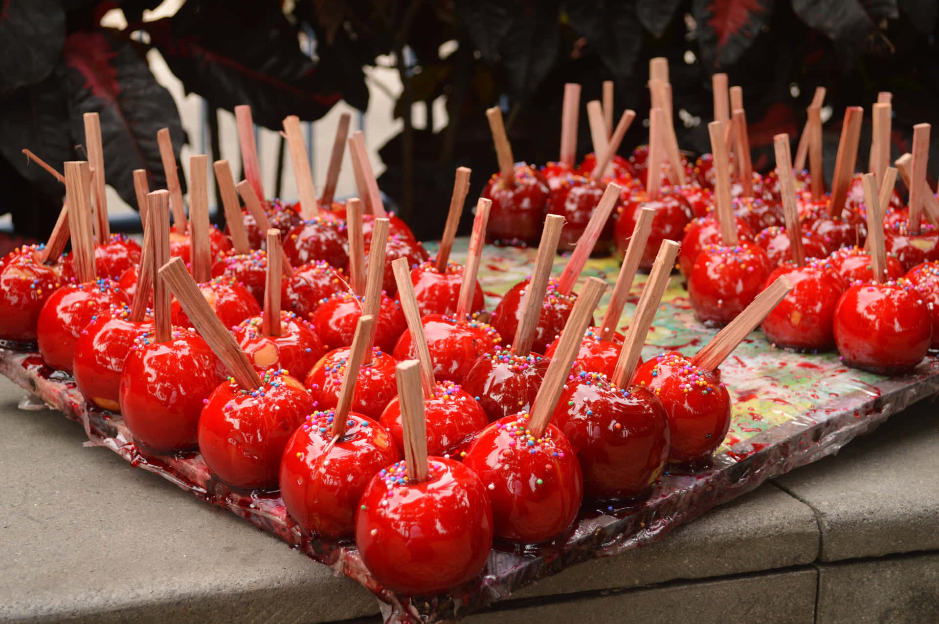 Colorful and Delicious Candy Apples Wallpaper