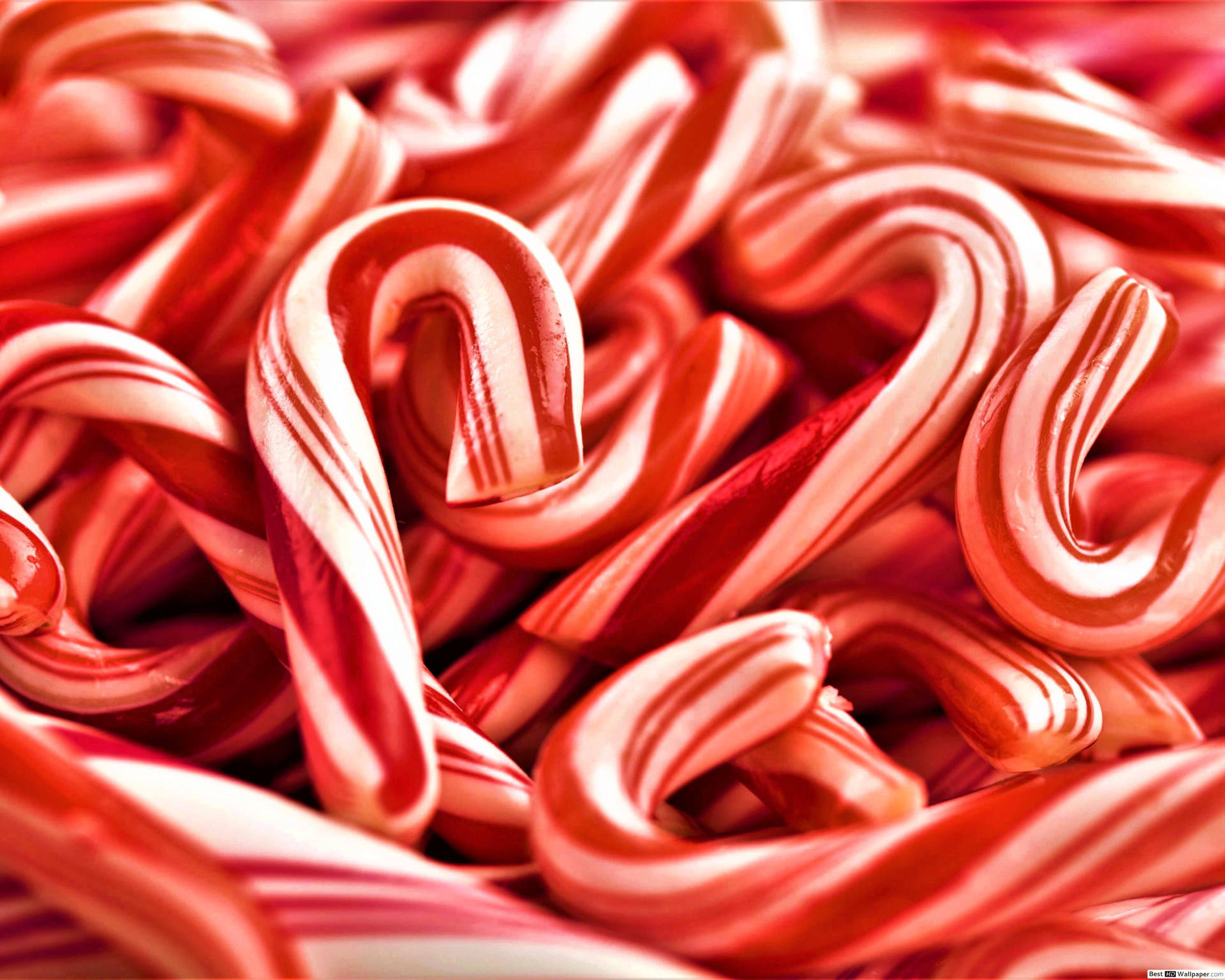 Candy Cane Sweets Wallpaper