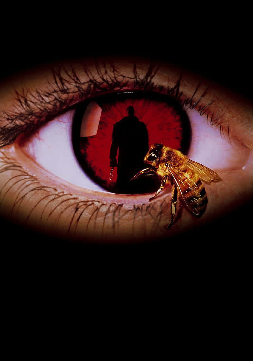 An unnerving look at a Candyman forever in the shadows.