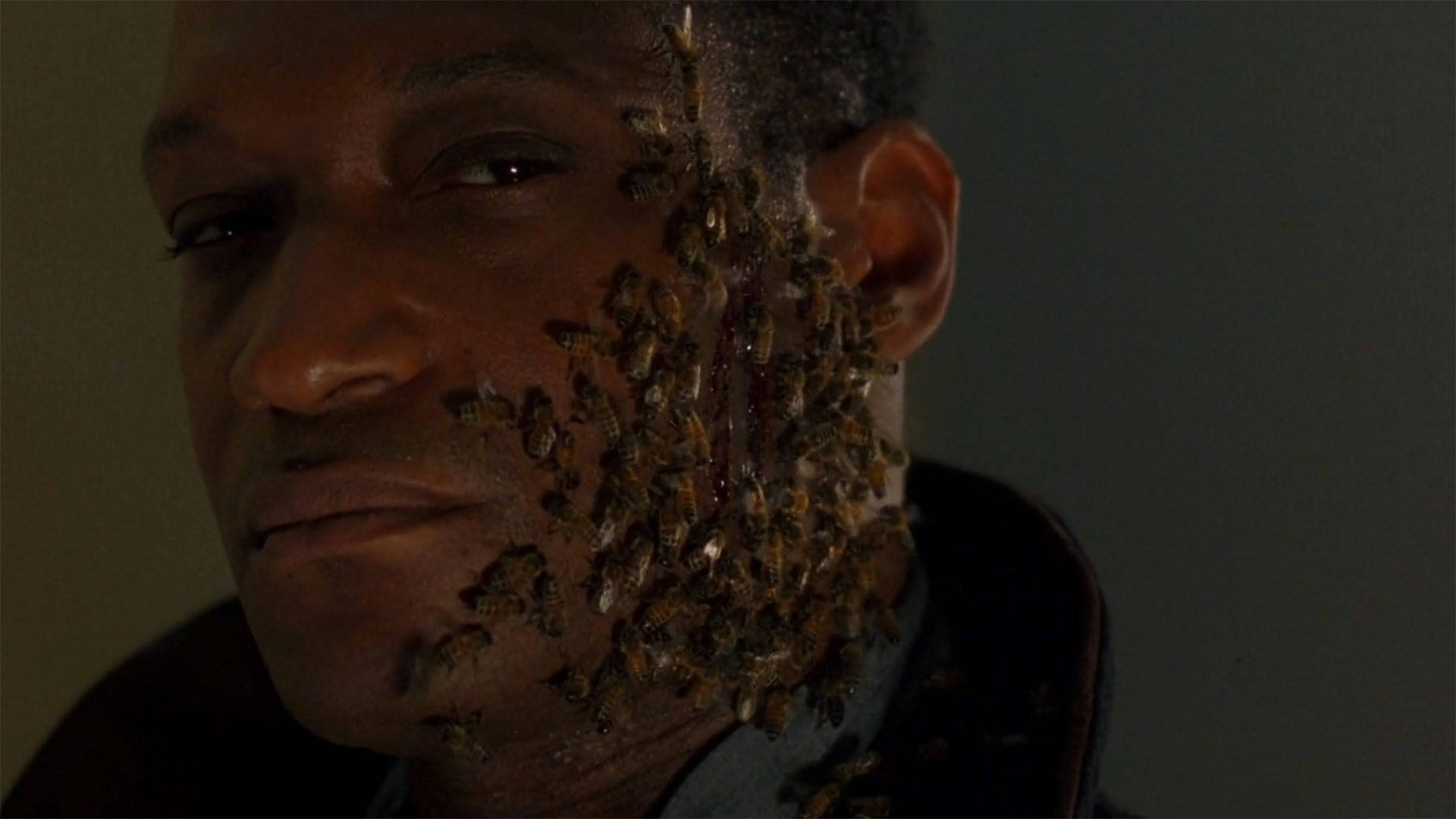 Candyman Bees On Face Background