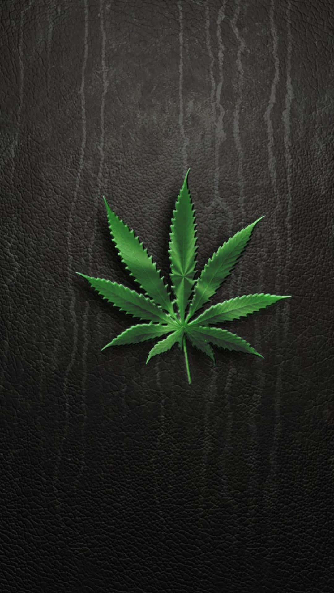Enjoy the green of cannabis