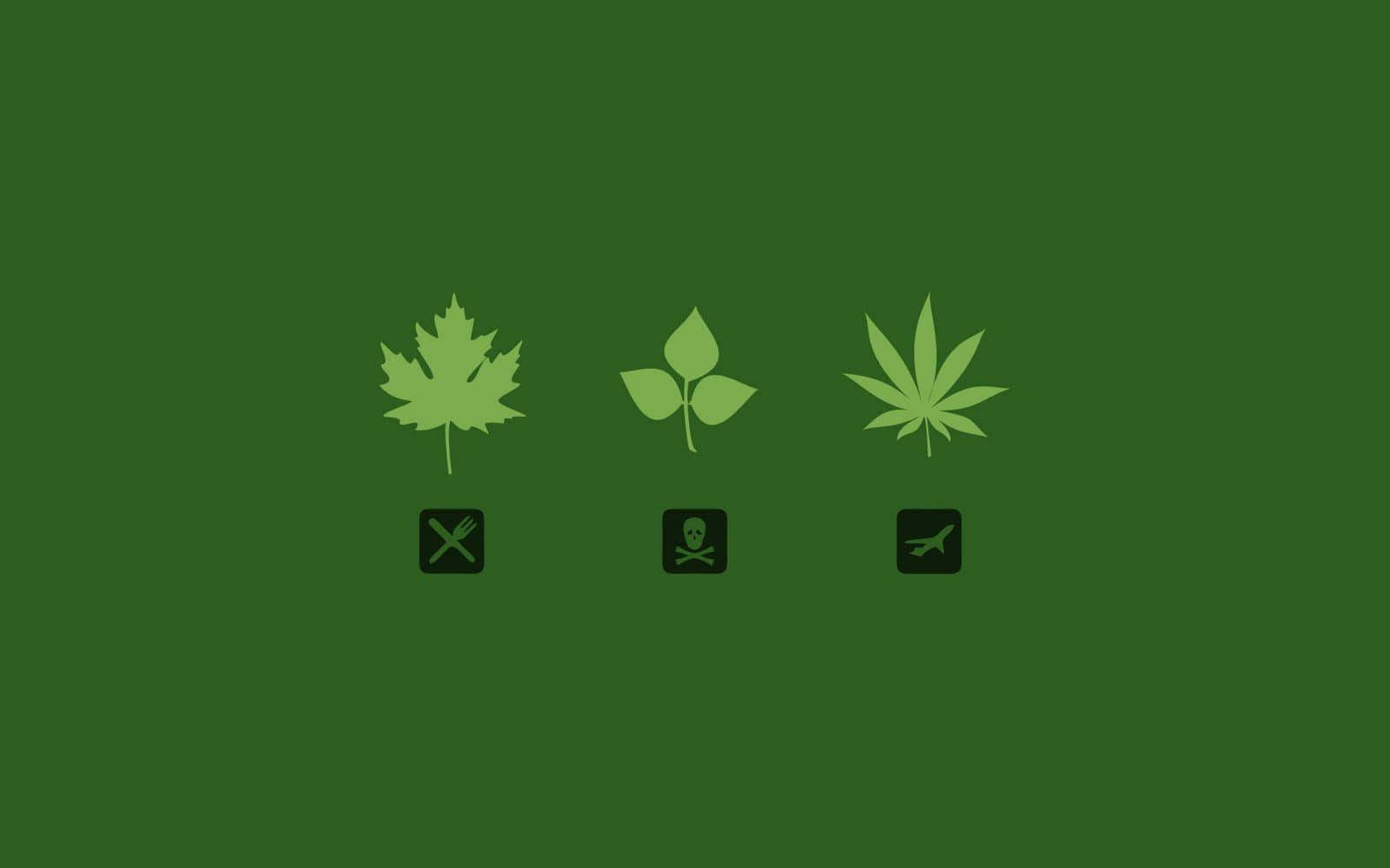 Eineelegante Darstellung Von Cannabis