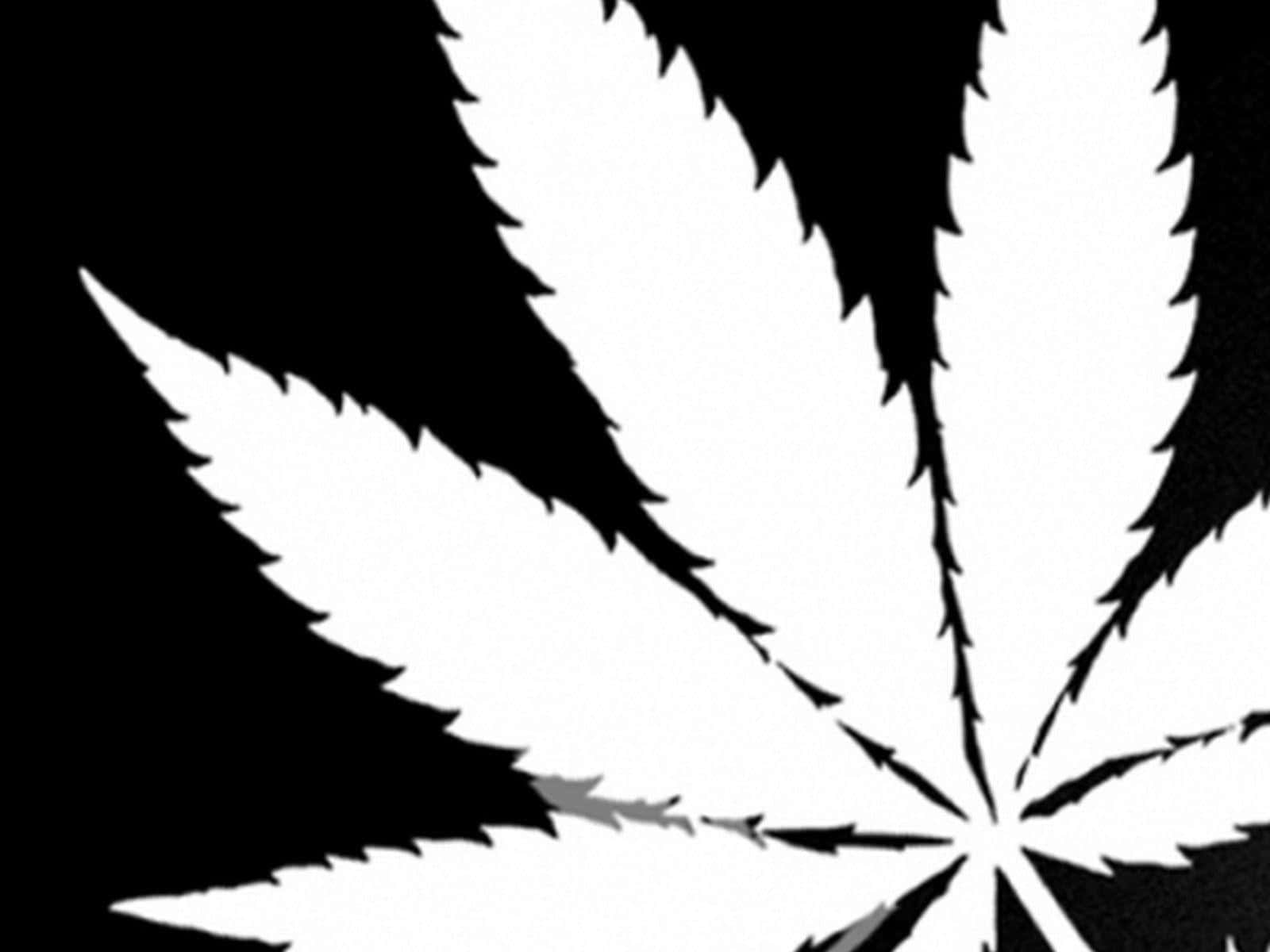 Hittadin Frid Med Cannabis