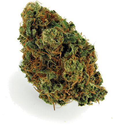 Cannabis Bud Closeup PNG