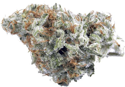 Cannabis Bud Closeup PNG