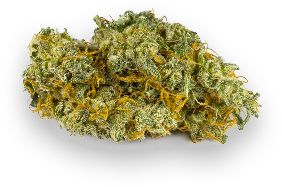 Cannabis Bud Closeup PNG