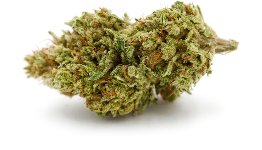 Cannabis Bud Closeup PNG