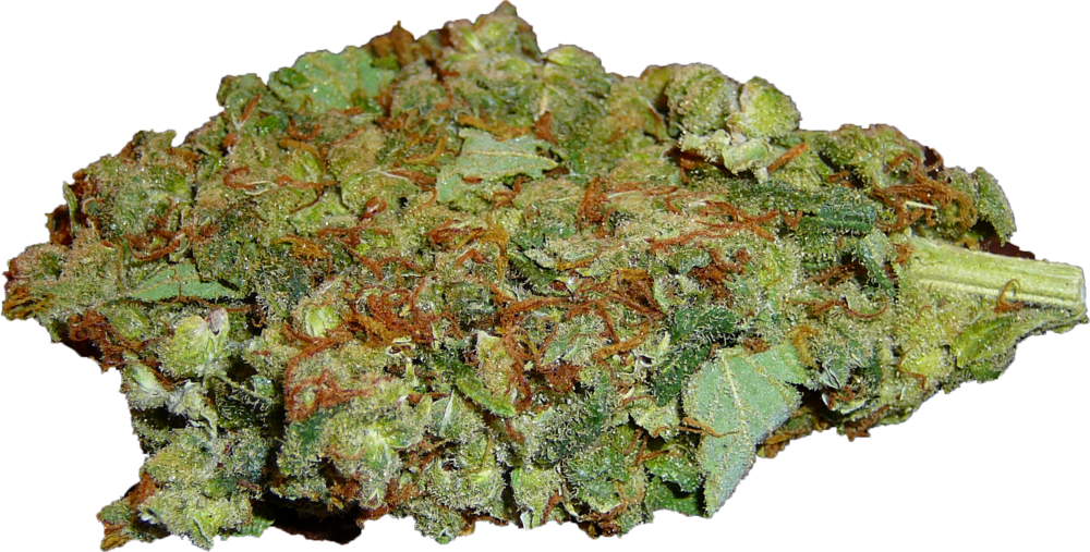 Cannabis Bud Closeup.png PNG