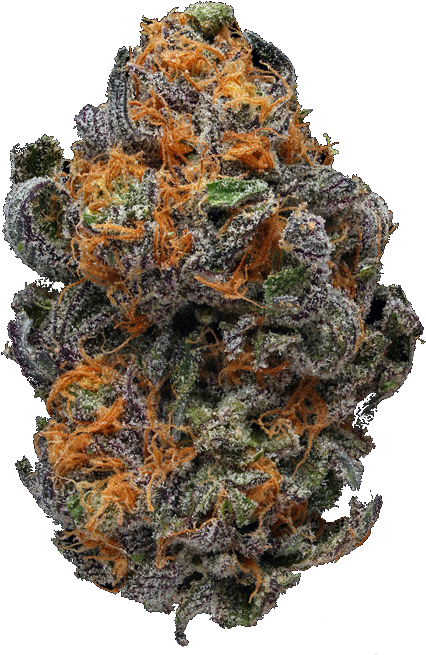 Cannabis Bud Closeup.png PNG