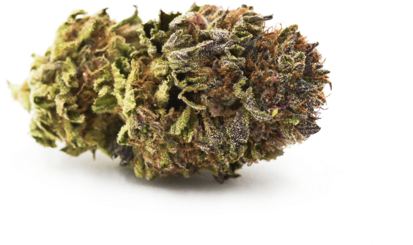 Cannabis Bud Closeup.png PNG