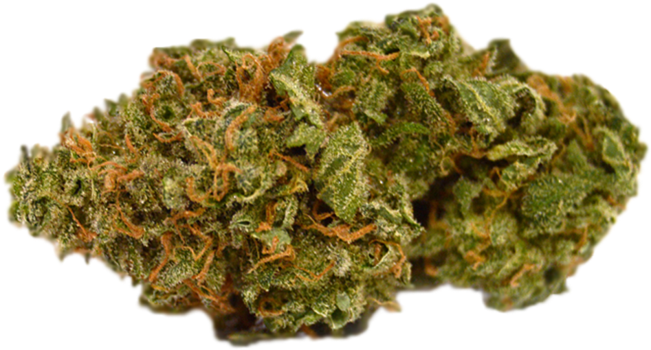 Cannabis Bud Closeup.png PNG