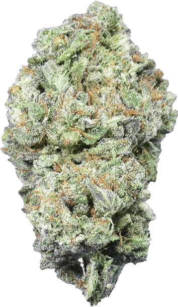 Cannabis Bud Closeup.png PNG
