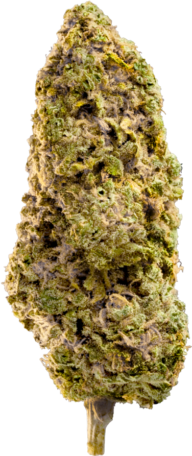 Cannabis Bud Closeup.png PNG