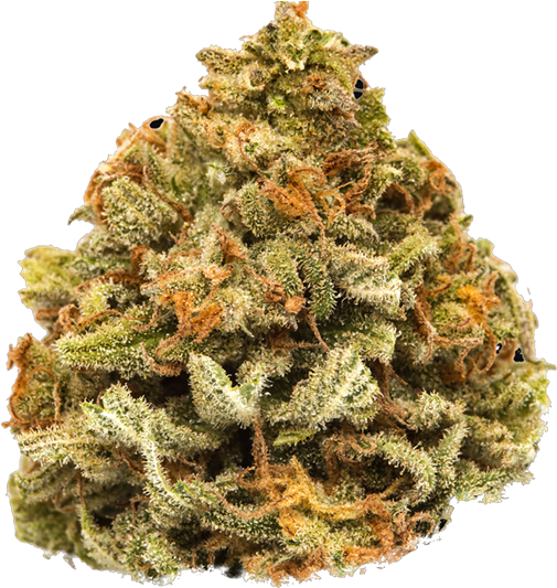 Cannabis Bud Closeup PNG