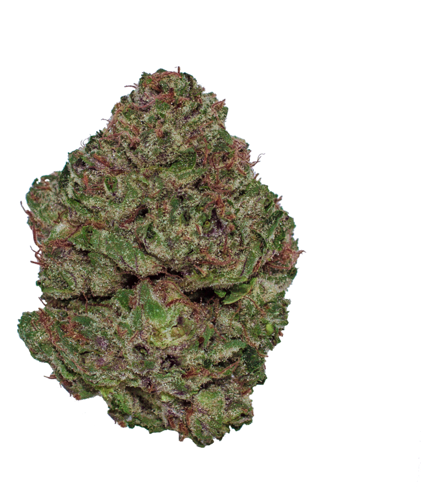 Cannabis Bud Closeup PNG