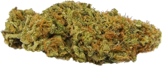 Cannabis Bud Closeup PNG