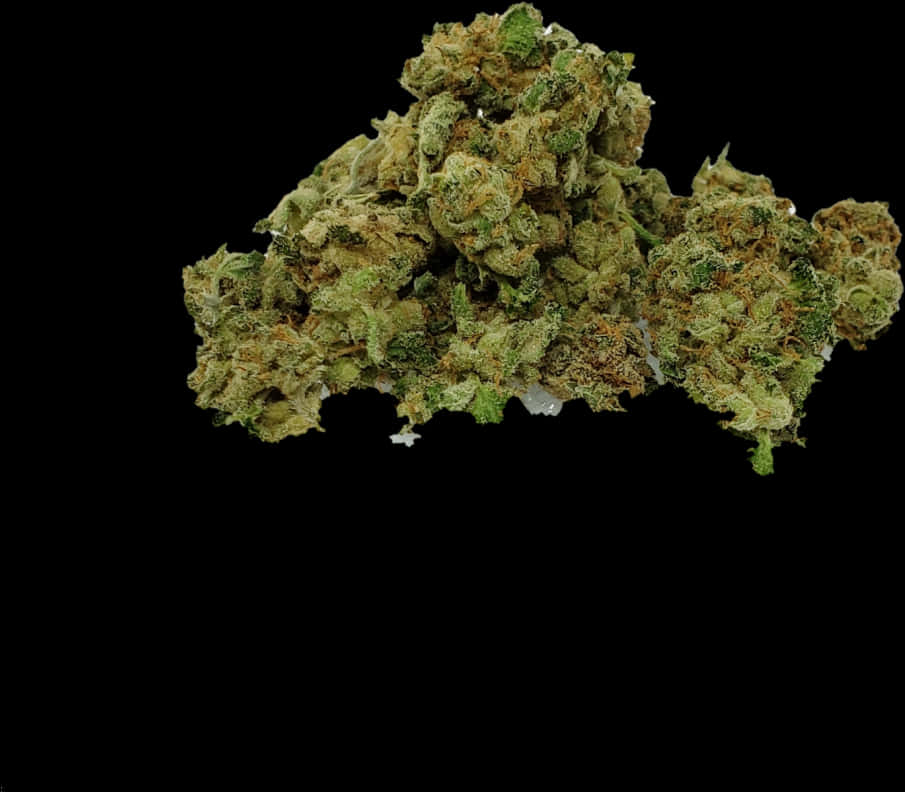 Cannabis Buds Black Background PNG