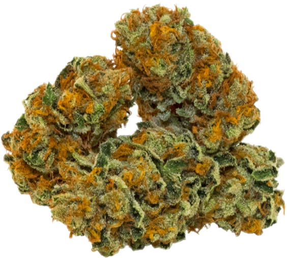 Cannabis Buds Closeup.png PNG