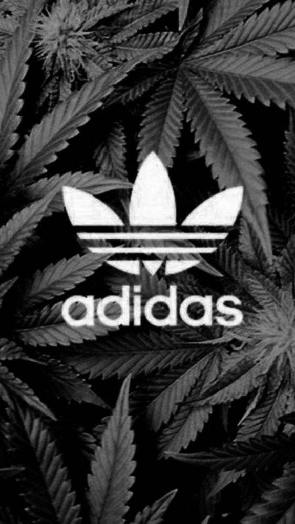 Cannabis Bush And Logo Adidas Iphone