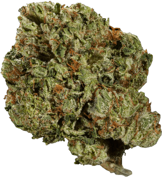 Cannabis Flower Closeup PNG