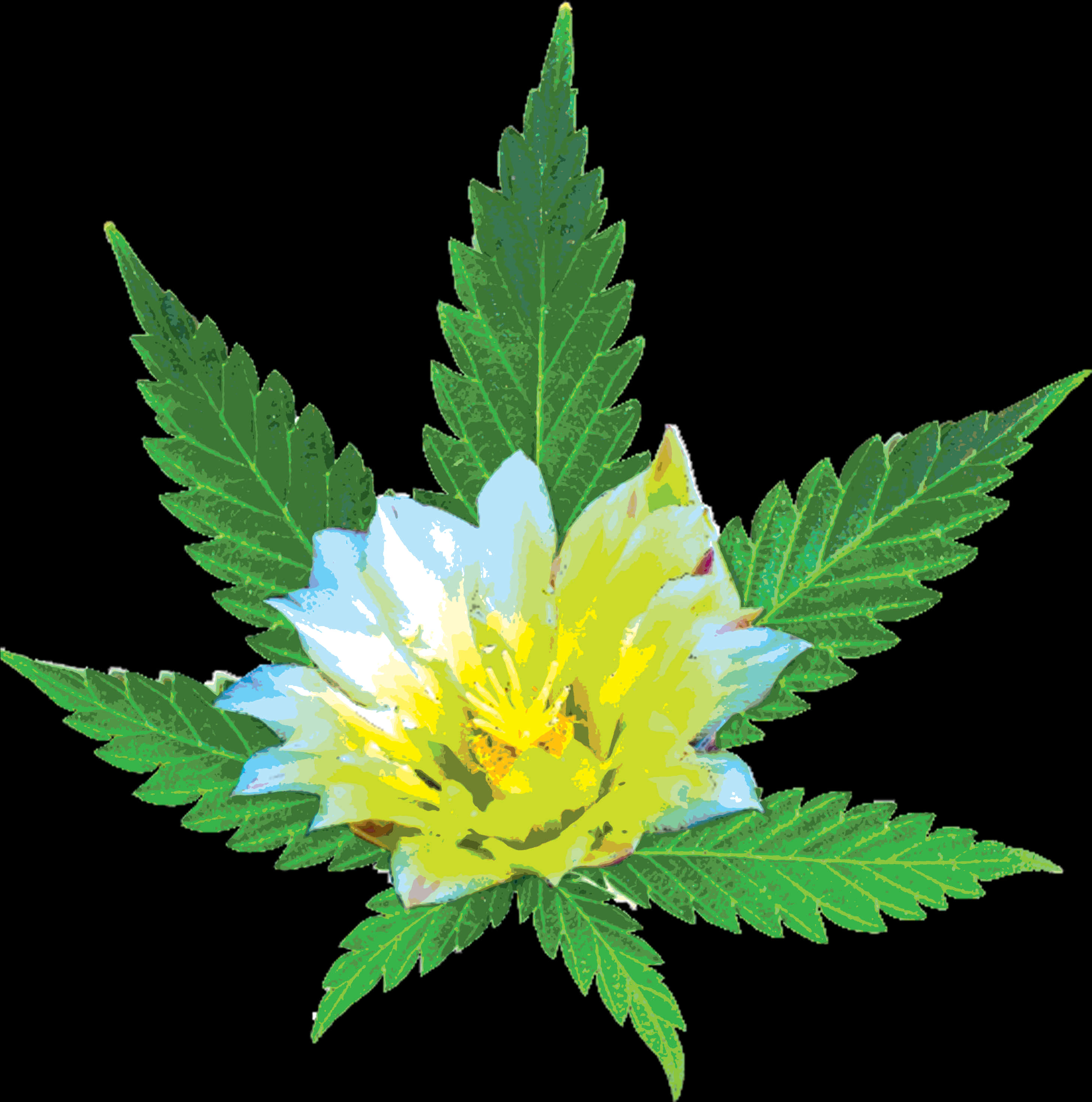 Cannabis Flower Hybrid Artwork PNG