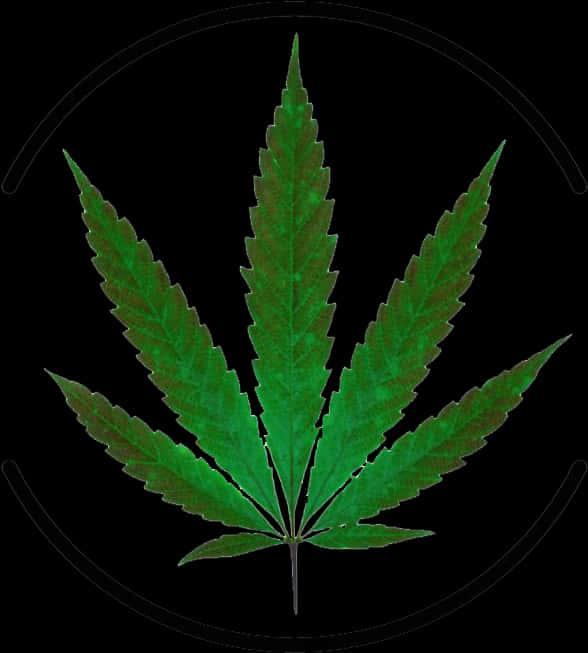 Cannabis Leaf Black Background PNG