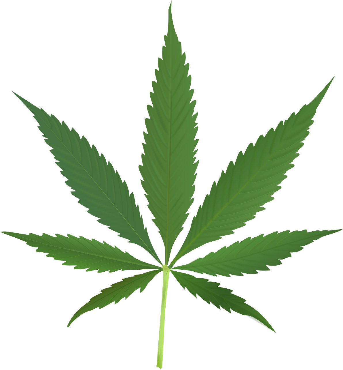 Cannabis Leaf Graphic PNG