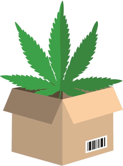 Cannabis Leaf In Cardboard Box PNG