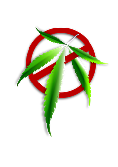 Cannabis Leaf No Sign PNG