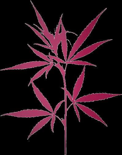 Cannabis Leaf Silhouette PNG