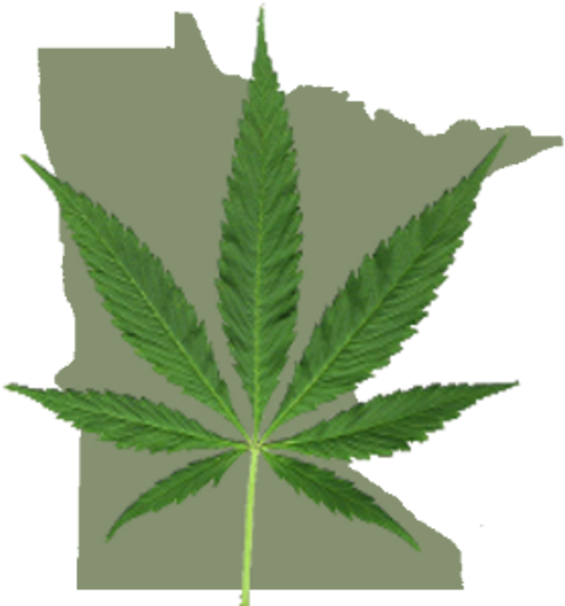 Cannabis Leaf Transparent Background PNG