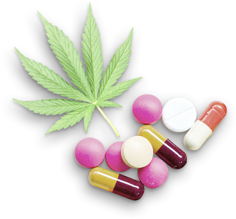 Cannabis Leafand Variety Pills Graphic PNG