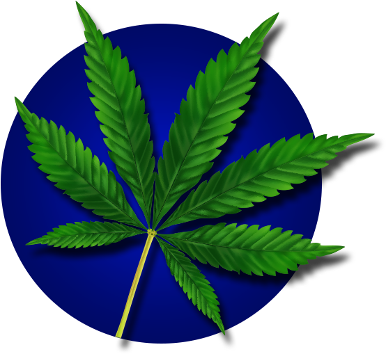 Cannabis Leafon Blue Background.png PNG