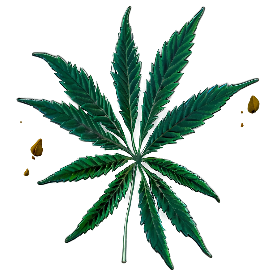 Download Cannabis Sativa Plant Png Ukl26 | Wallpapers.com