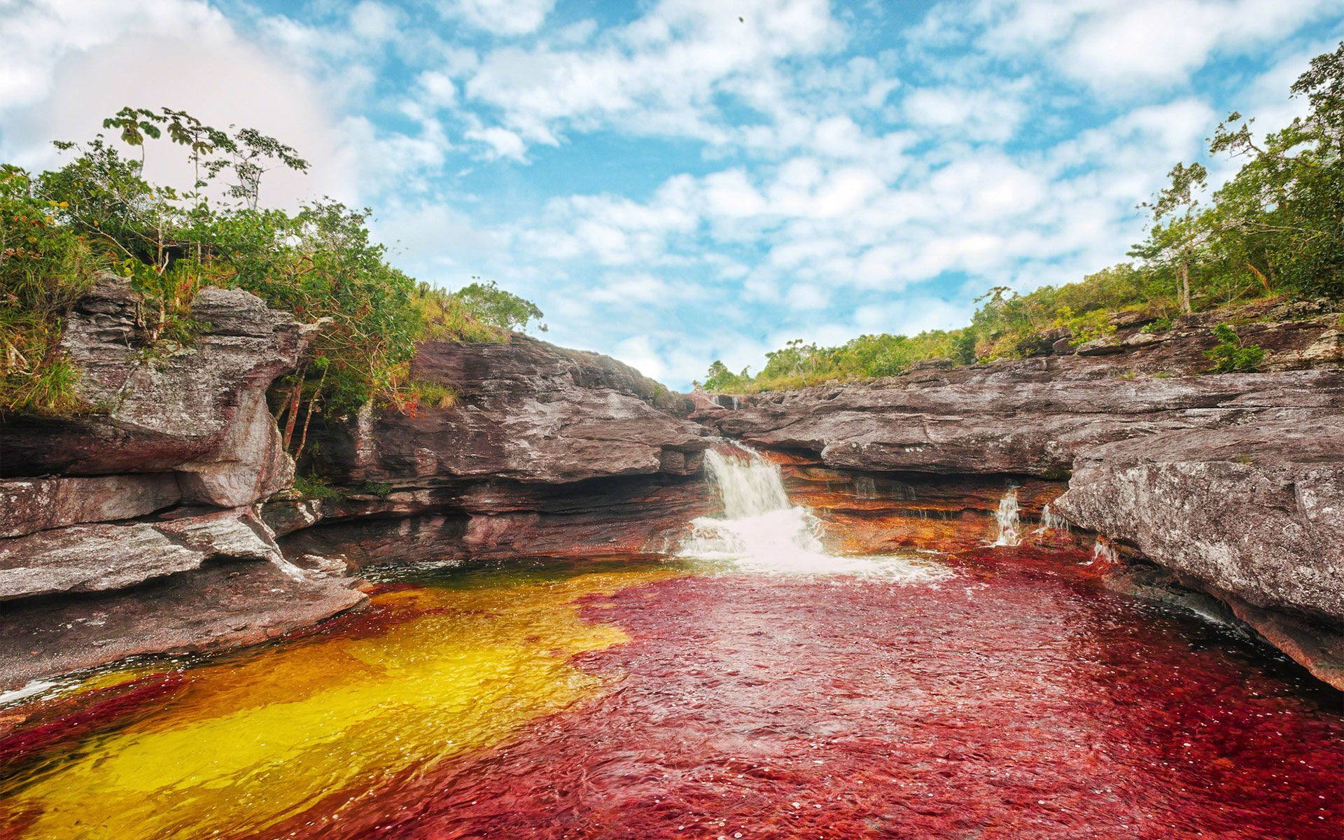 Caption: Breathtaking view of Cano Cristales, the river of five colors, in Colombia Wallpaper