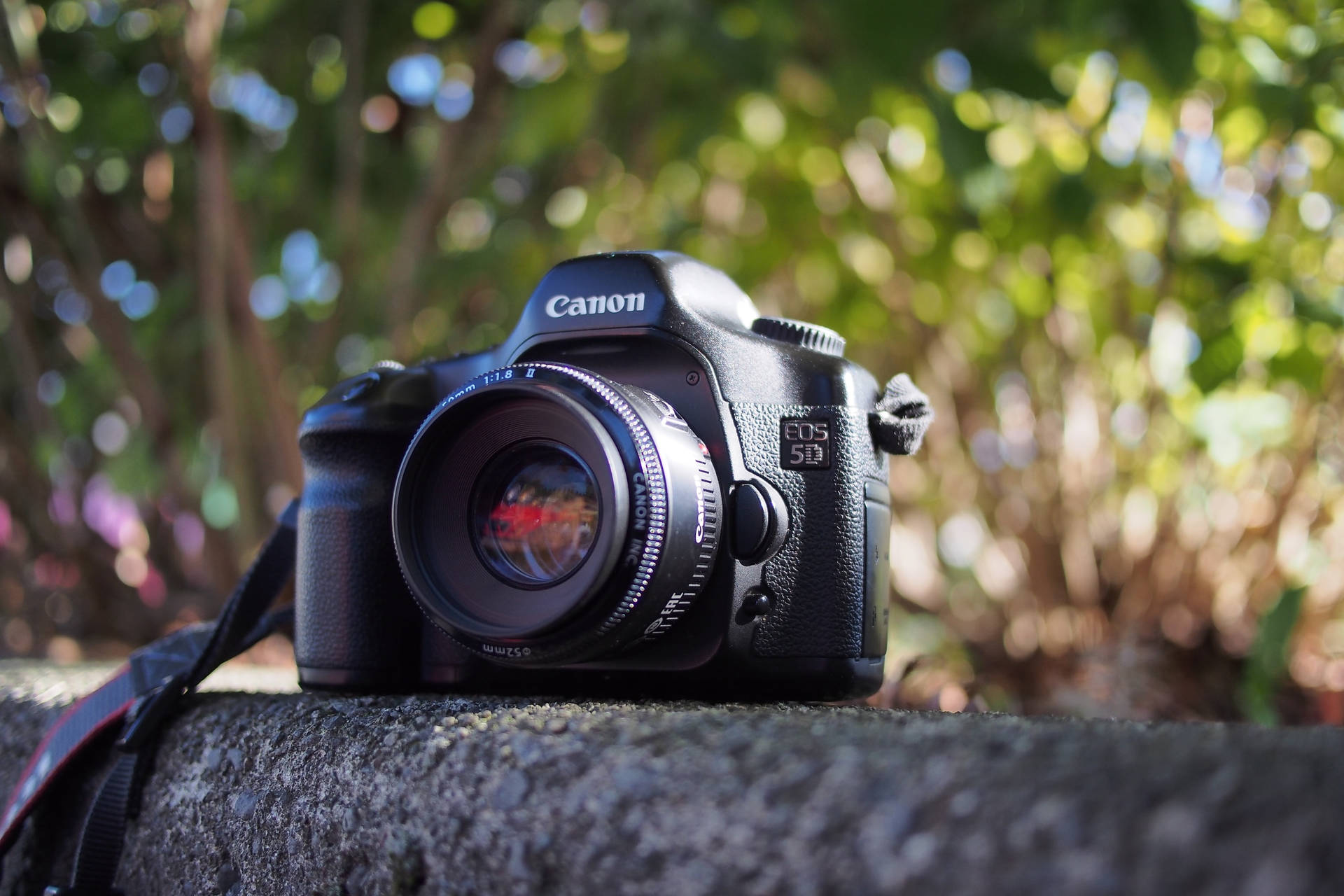 Canon 5D Camera Wallpaper