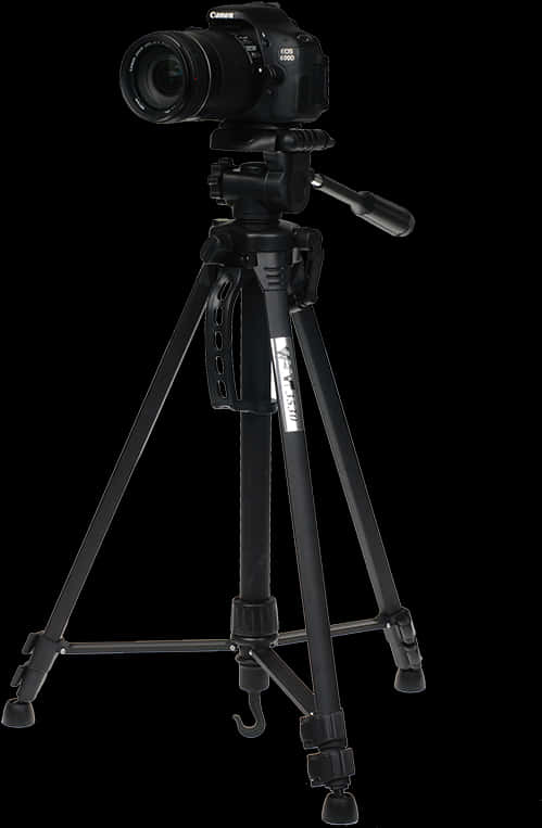 Canon D S L Ron Tripod PNG